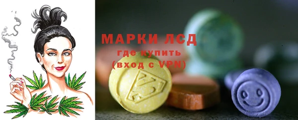 мяу мяу мука Покачи