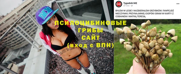 гидра Дрезна