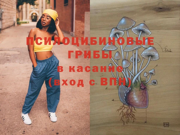 мяу мяу мука Покачи