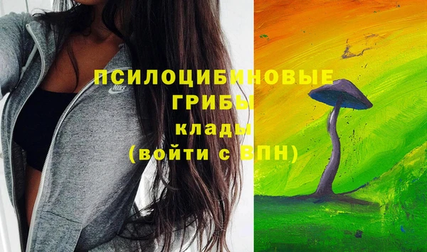 мяу мяу мука Покачи